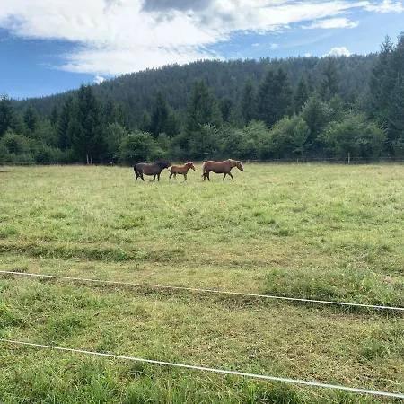 Amazing * Stari Trg pri Lozu