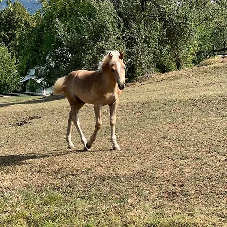 Nyaraló Amazing Stari Trg pri Ložu
