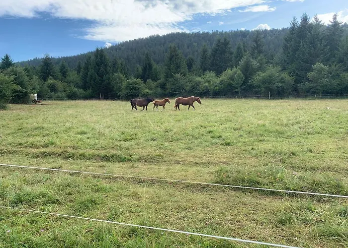 Amazing * Stari Trg pri Lozu